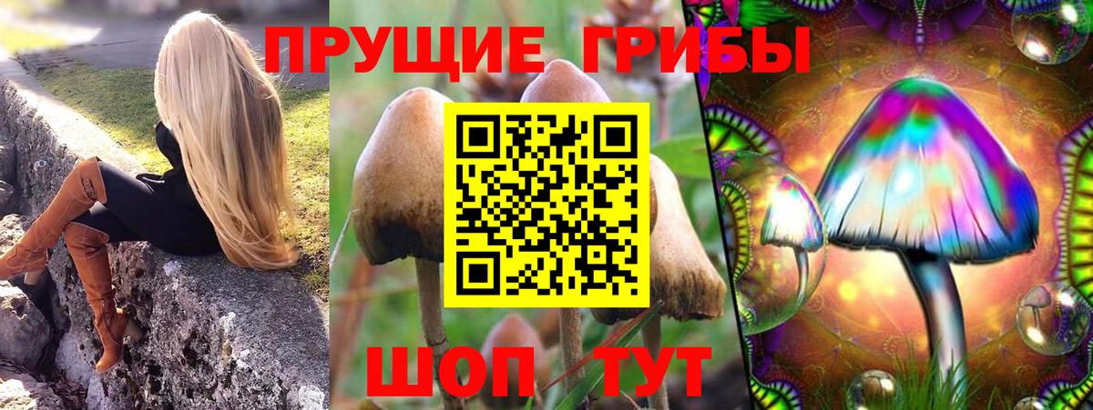 Вязники  Галлюциногенные грибы Cubensis  Псилоцибиновые грибы Magic Shrooms  Вход с VPN 